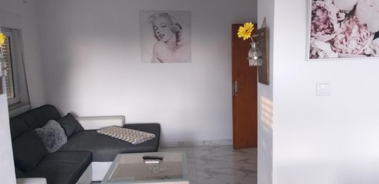 Apartman Zvoncica Vrsi Extérieur photo