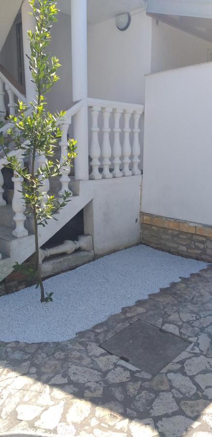 Apartman Zvoncica Vrsi Extérieur photo