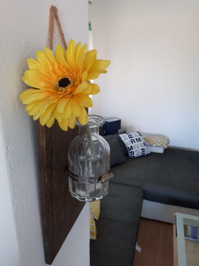 Apartman Zvoncica Vrsi Extérieur photo