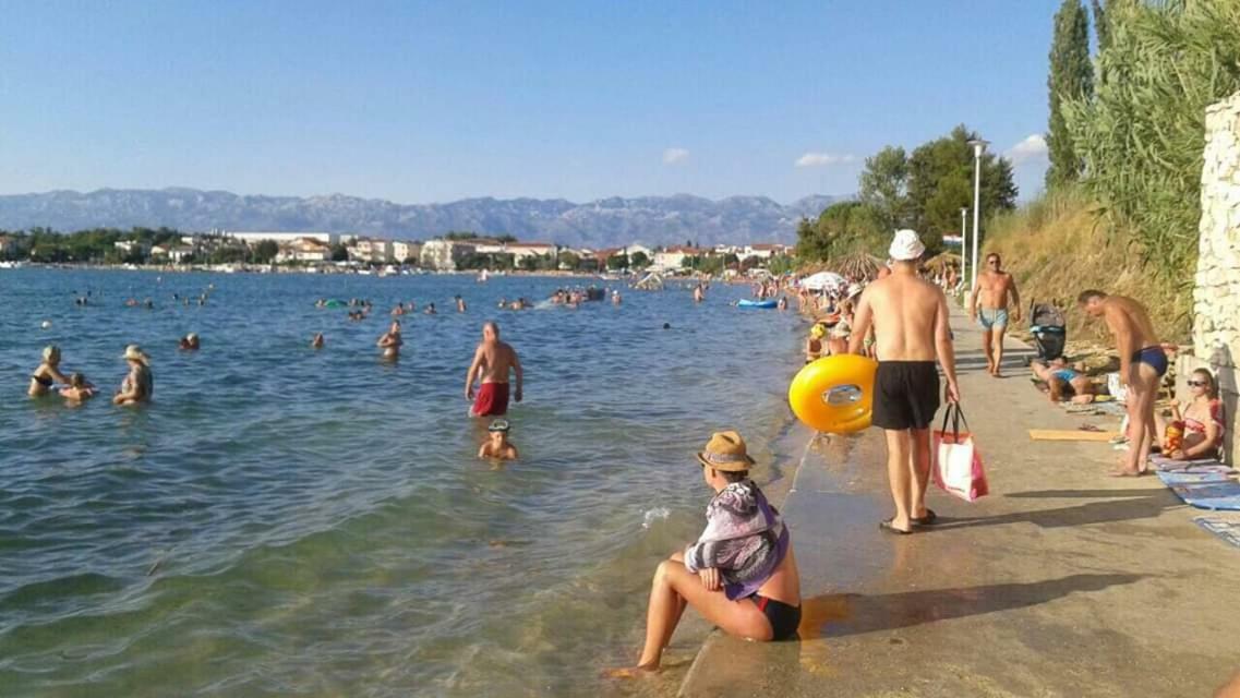 Apartman Zvoncica Vrsi Extérieur photo